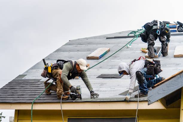 Professional Roof Installation technician working in Caledonia, NY